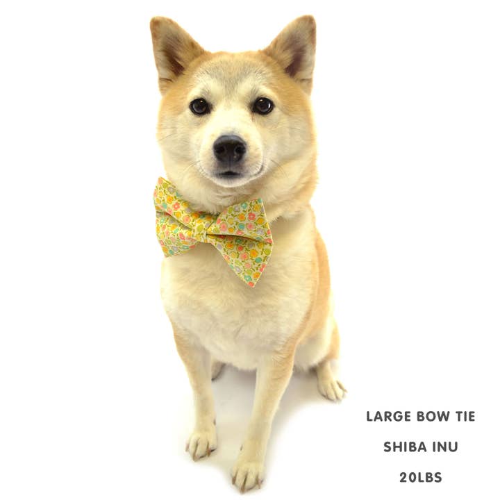 Winthrop Clothing Co. - Wholesale Pet Bow Tie - Dog - Horseshoe Dog Bow Tie1