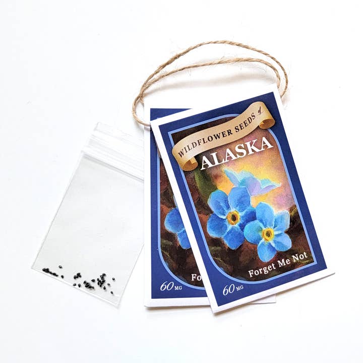 Whitworth Gallery - Wholesale Plant Seeds - Alaskan Forget Me Not Wildflower Seed Packets1