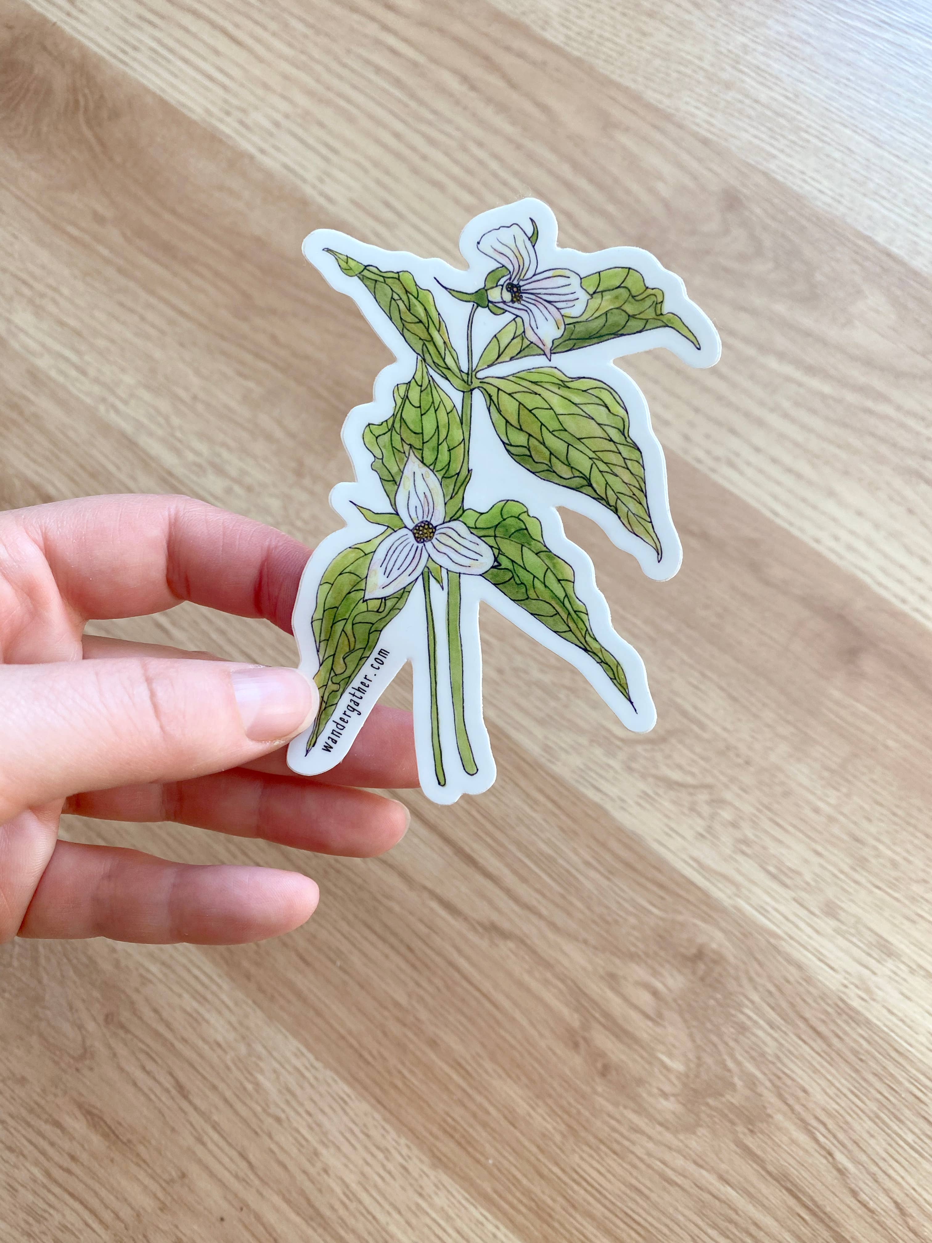 Wander & Gather - Wholesale Sticker - White Trillium Wildflower, Native Plant Waterproof Sticker1