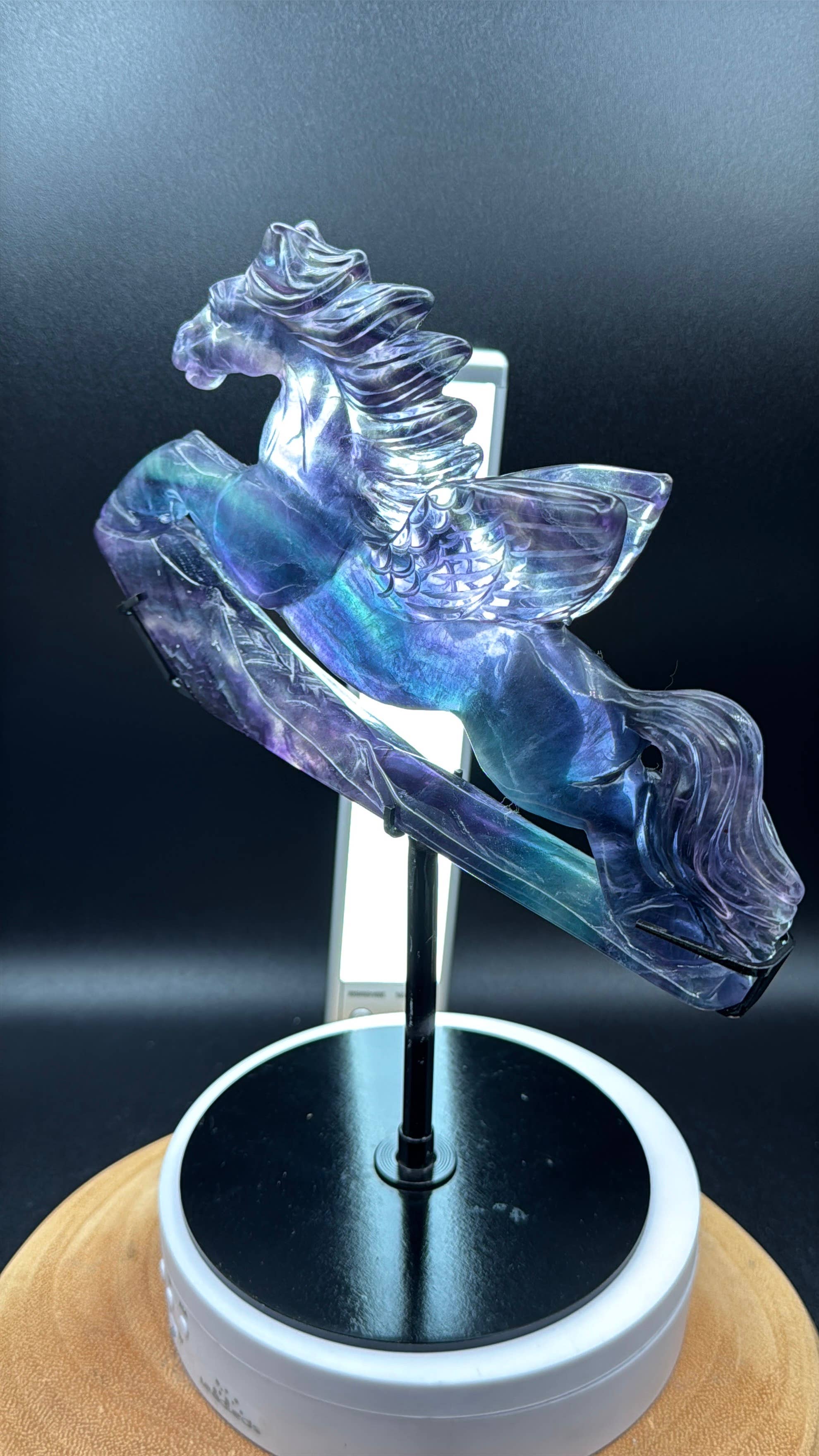 The 7 Directions - Wholesale Spiritual Stone/Crystal - Exquisite Rainbow fluorite Flying horse Pegasus H20813