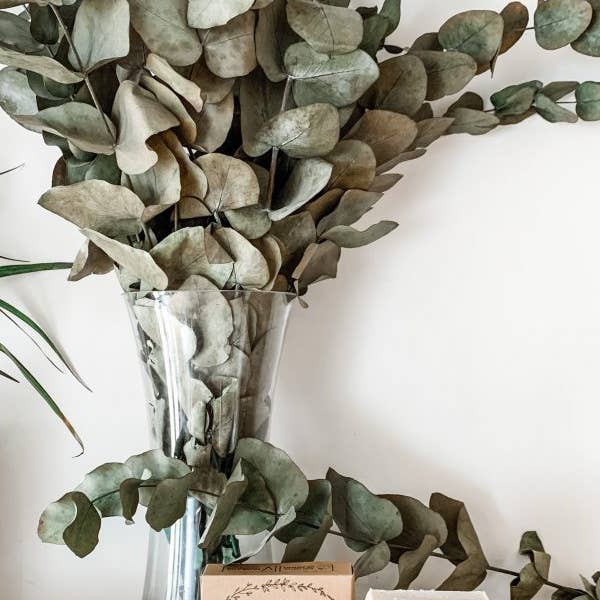 Tildas Tribe – wholesale Bar Soap – Unscented Goats Milk Soap2