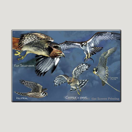 Birds of Prey 2" X 3" Magnet for wholesale by Atlas Screen Printing