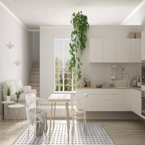 Rug Belita for wholesale by Adamá