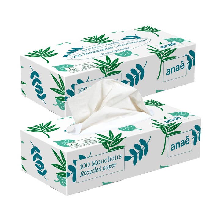 Boîte de 100 mouchoirs en fibres recyclées - Anaé pour la vente par Ecodis - Grand Beau