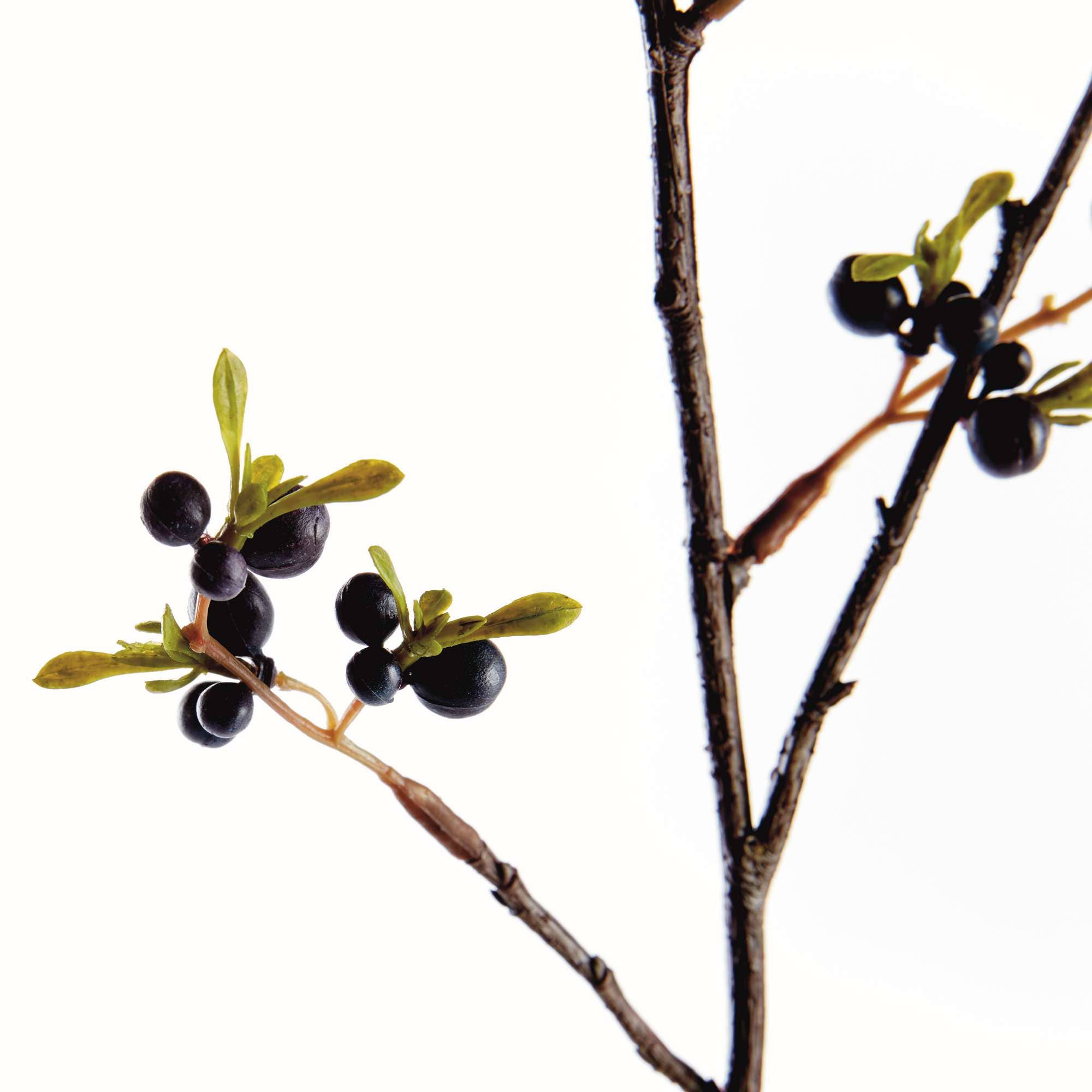 Napa Home & Garden - Vente Plantes artificielles - Branche de Baies Sombres 41,5" - Bleu Foncé1