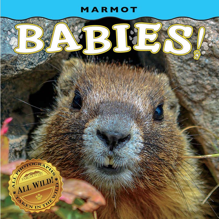Marmot Babies! and other Purchase Wholesale marmot. Free Returns & Net 60 Terms on Faire trending on Faire.