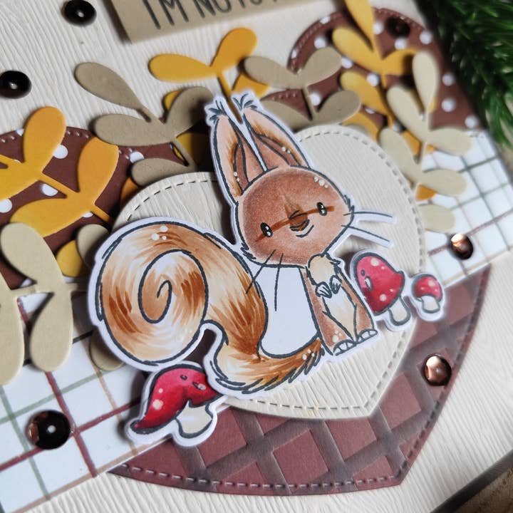 Impronte D'Autore - Wholesale Rubber/Decorative Stamp - Clear polymer stamps Nutty Explorers10