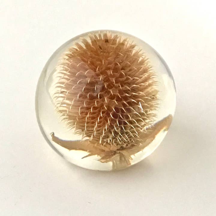 Belart Fair Trade - Venta al por mayor Pisapapeles - Pisapapeles grande de resina con acento de cardo2