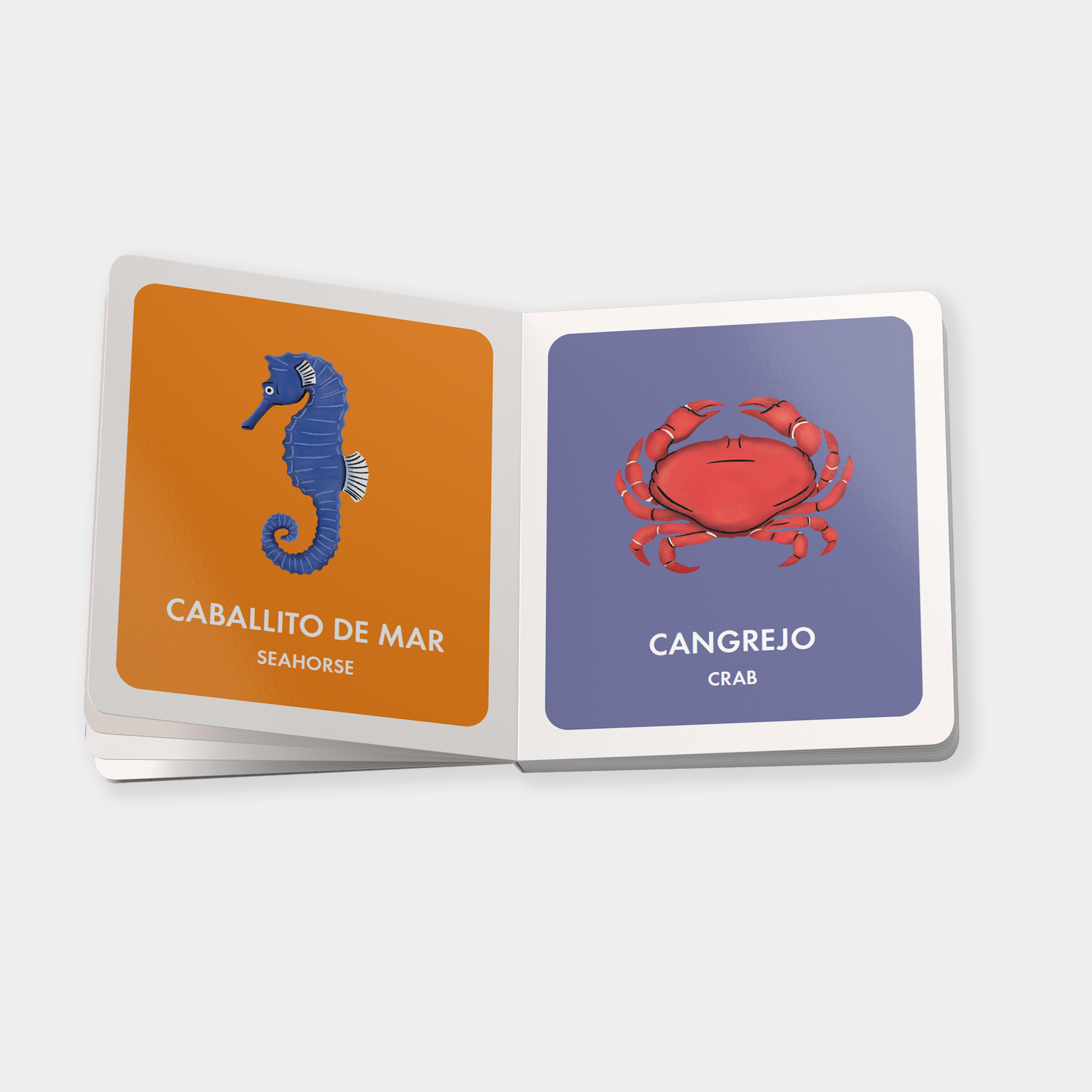 Blue Star Fiesta - Vendita all'ingrosso Libro per l'infanzia (3-5) - La mia prima biblioteca bilingue: un set di libri da tavolo spagnolo-inglese4