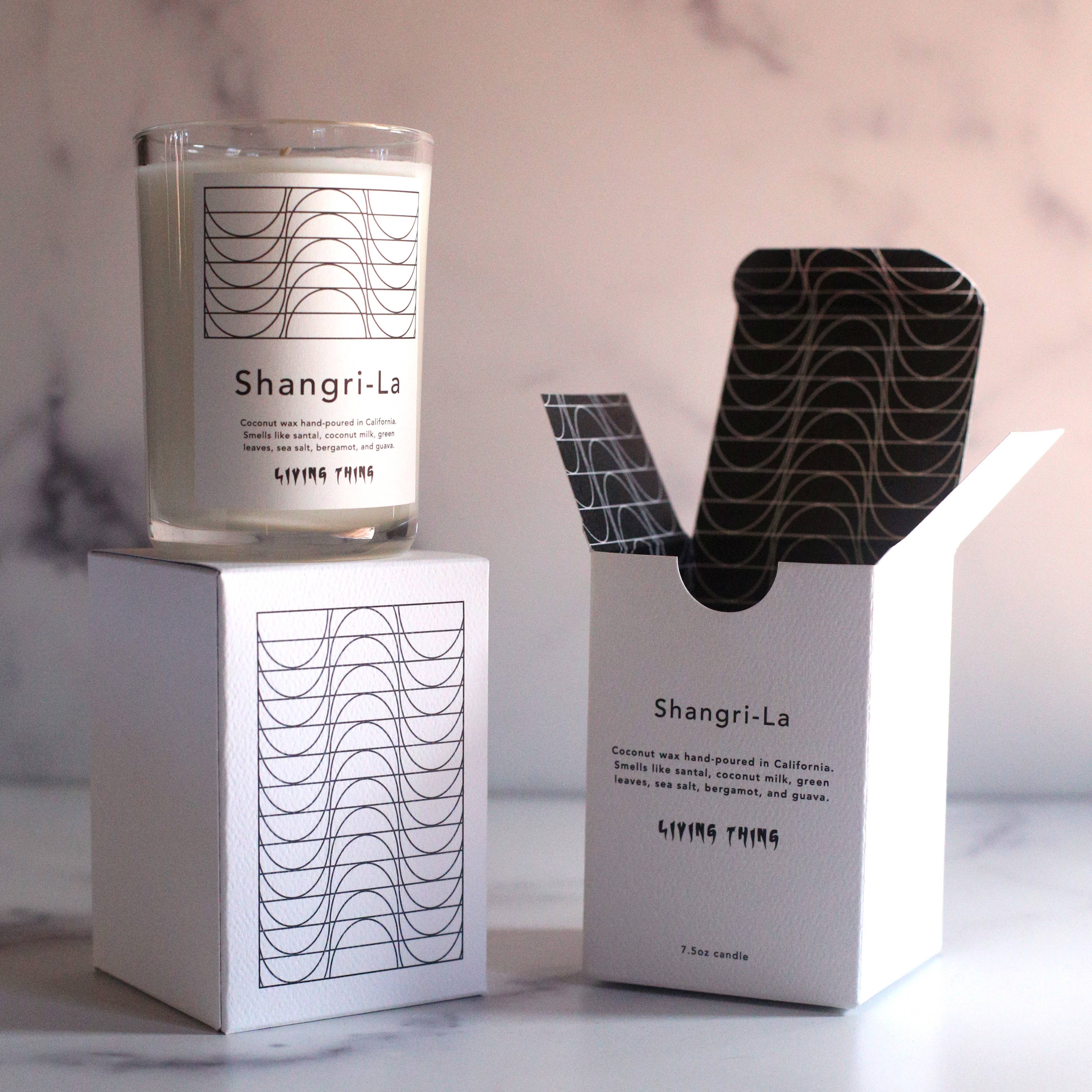 Living Thing - Vendita all'ingrosso Candela in vasetto - Shangri-La: Candela tropicale Guava, cocco e legno di sandalo1