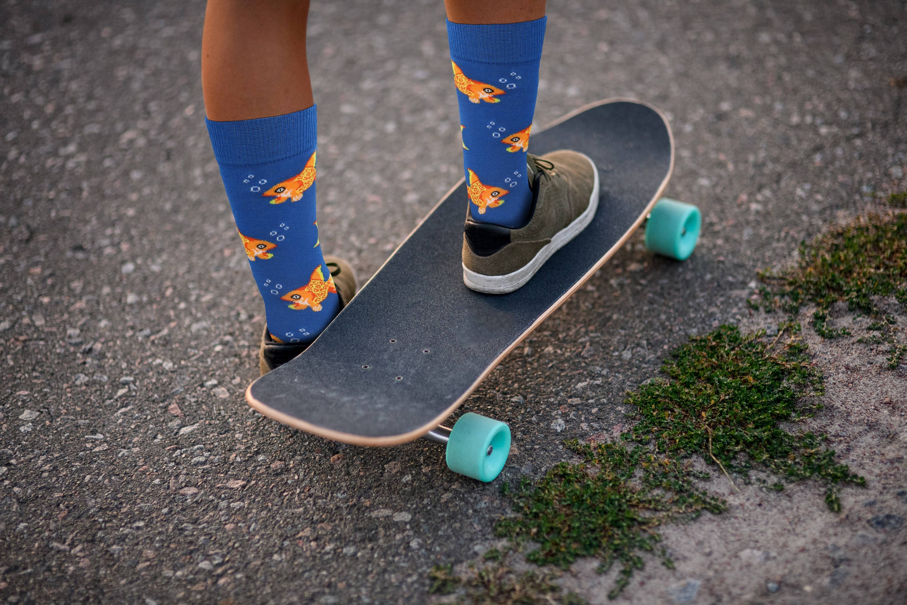 Real Sic - Venta al por mayor Calcetines - Unisex - Calcetines Animal Fun: calcetines con forma de tigre, flamenco, pez dorado y tucán8