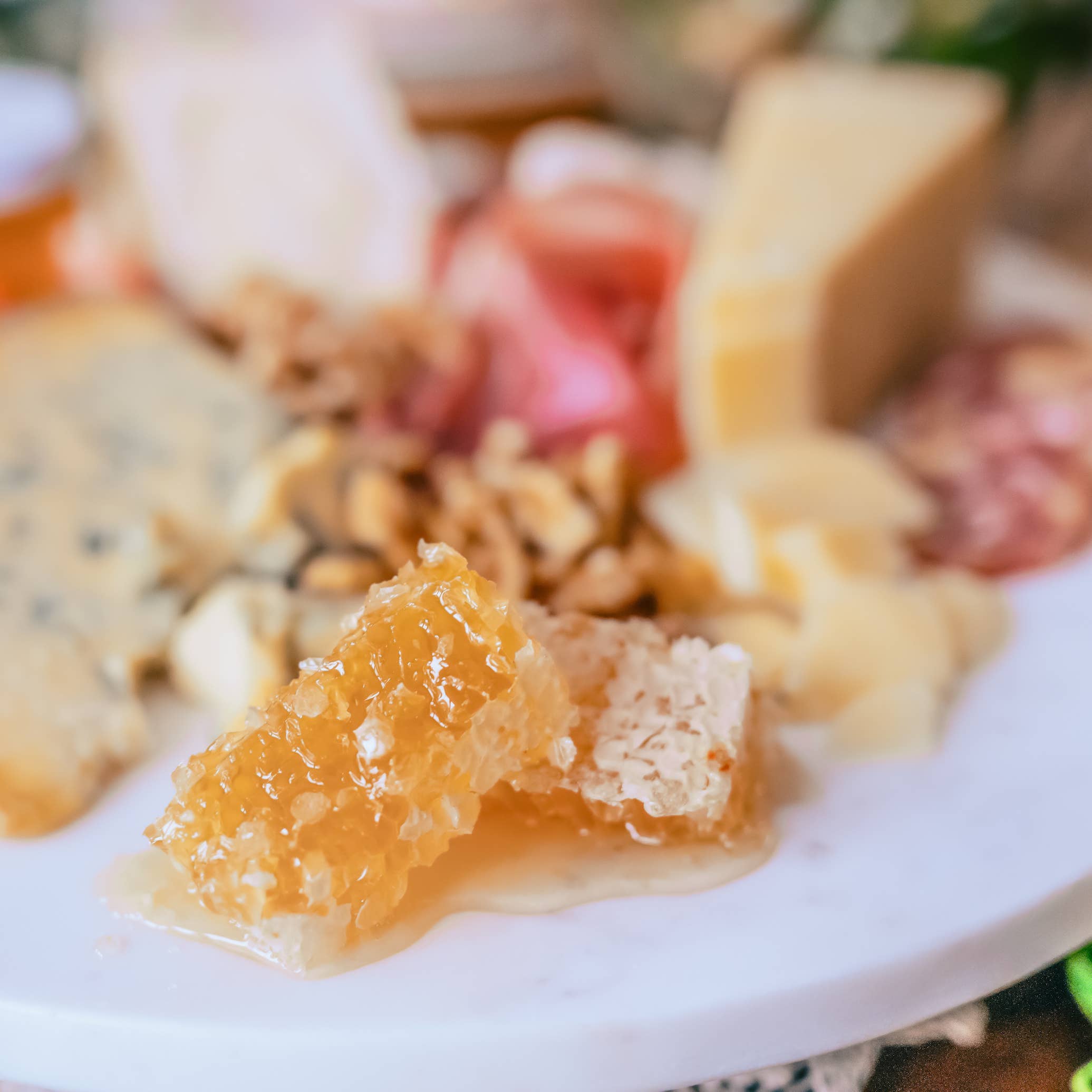 Saratoga Tea & Honey Company - Wholesale Honey - Hungarian Acacia Honeycomb3