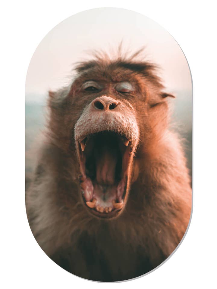 mapa de Muurovaal por atacado de Label2X B.V.