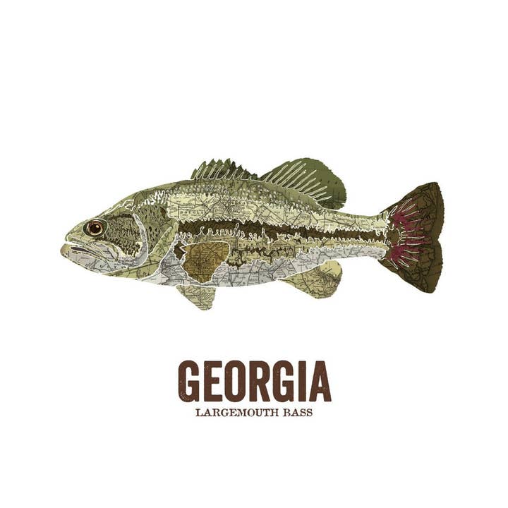 Georgia State Fish, Map Art - Largemouth Bass for wholesale by Wooden Pencil Company