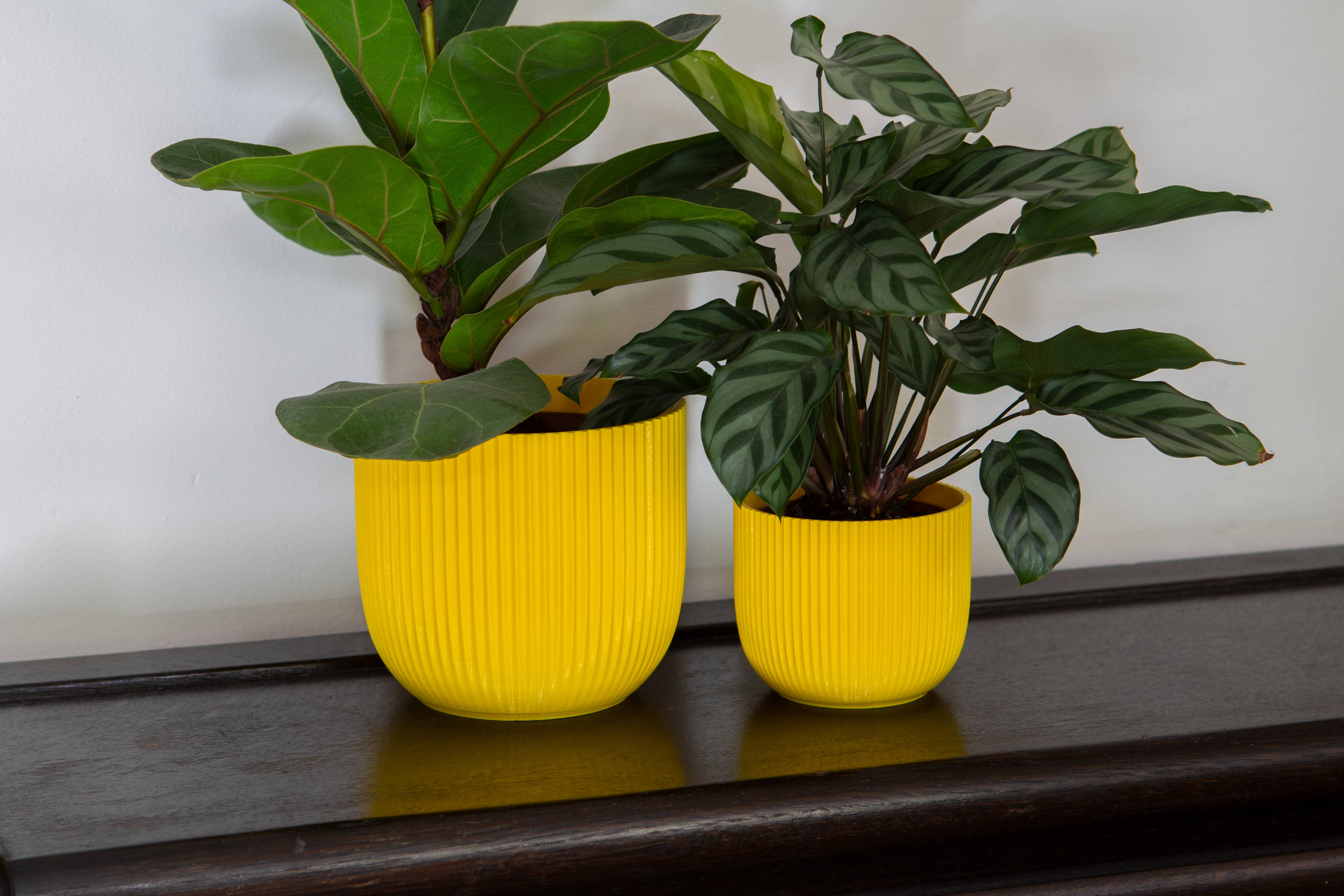 REMOVED BRAND - Vente Pot - Pot de plante côtelé « Crinkle » imprimé en 3D2