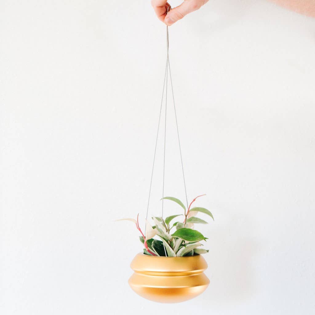 Carter & Rose - Wholesale Hanging Planter - Hanging Planter0