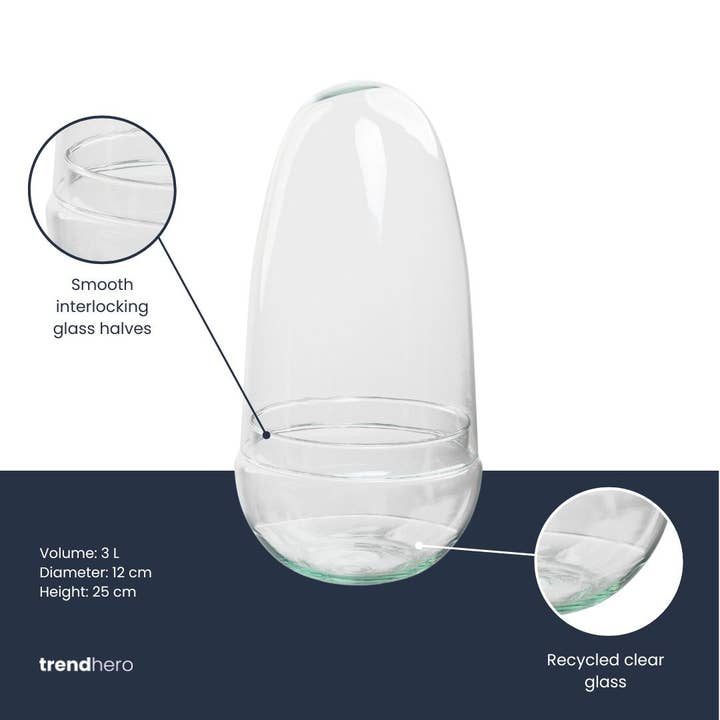 Trendhero.nl/b2b - Wholesale Terrarium - Terrarium bottle ‘Egg’ – Two-part glass dome – Closed terrarium Ø 12 cm ↑ 25 cm1