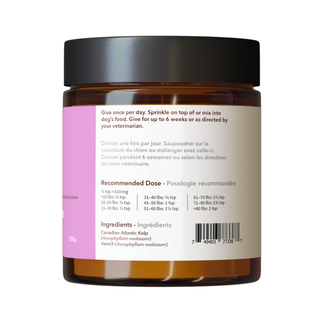 North Hound Life - Wholesale Pet Supplement - Dog - Skin & Coat Health | Canadian Atlantic Kelp2