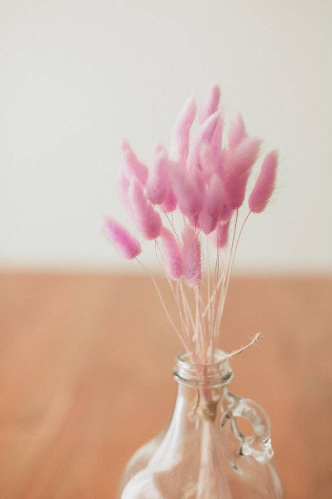 Eucalypt Co. - Venta al por mayor Flores secas/prensadas - Colas de conejo preservadas29