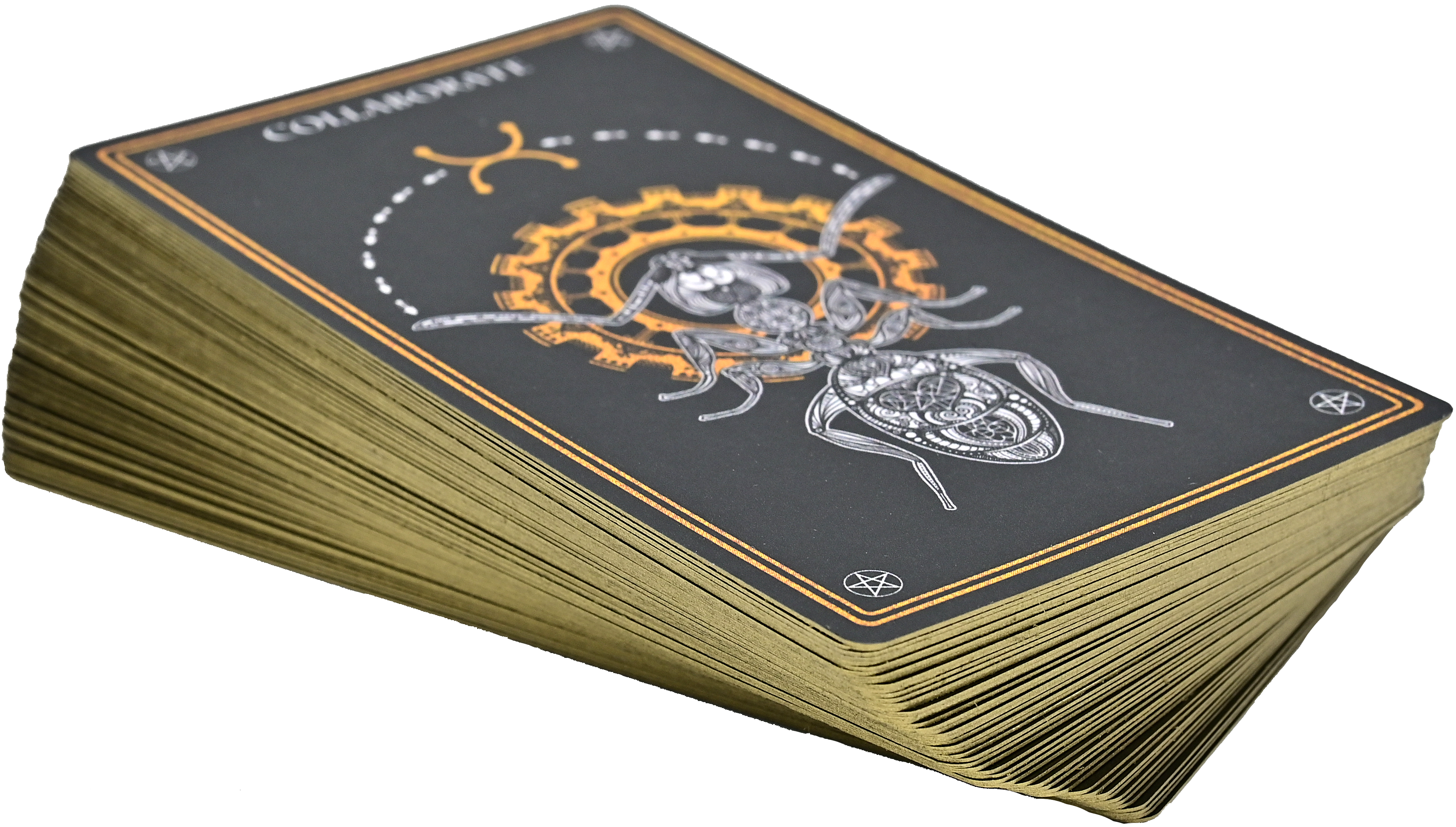 Peter Pauper Press - Vente Carte de tarot/oracles - Deck de cartes Oracle mystique sauvage2