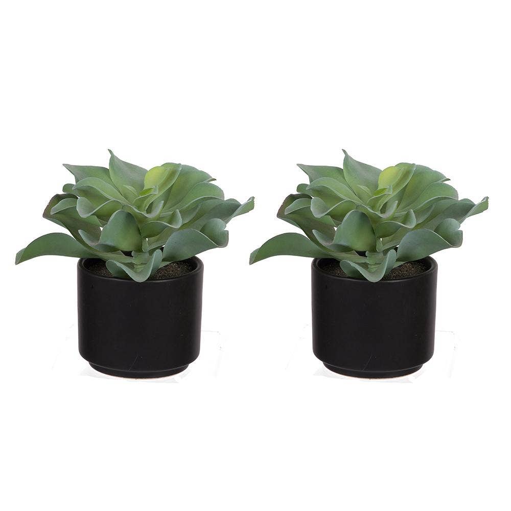 A&B Home Group Inc. - Wholesale Artificial Plant - S/2 D7.5x6" Potted Faux Succulent - Green/Black0