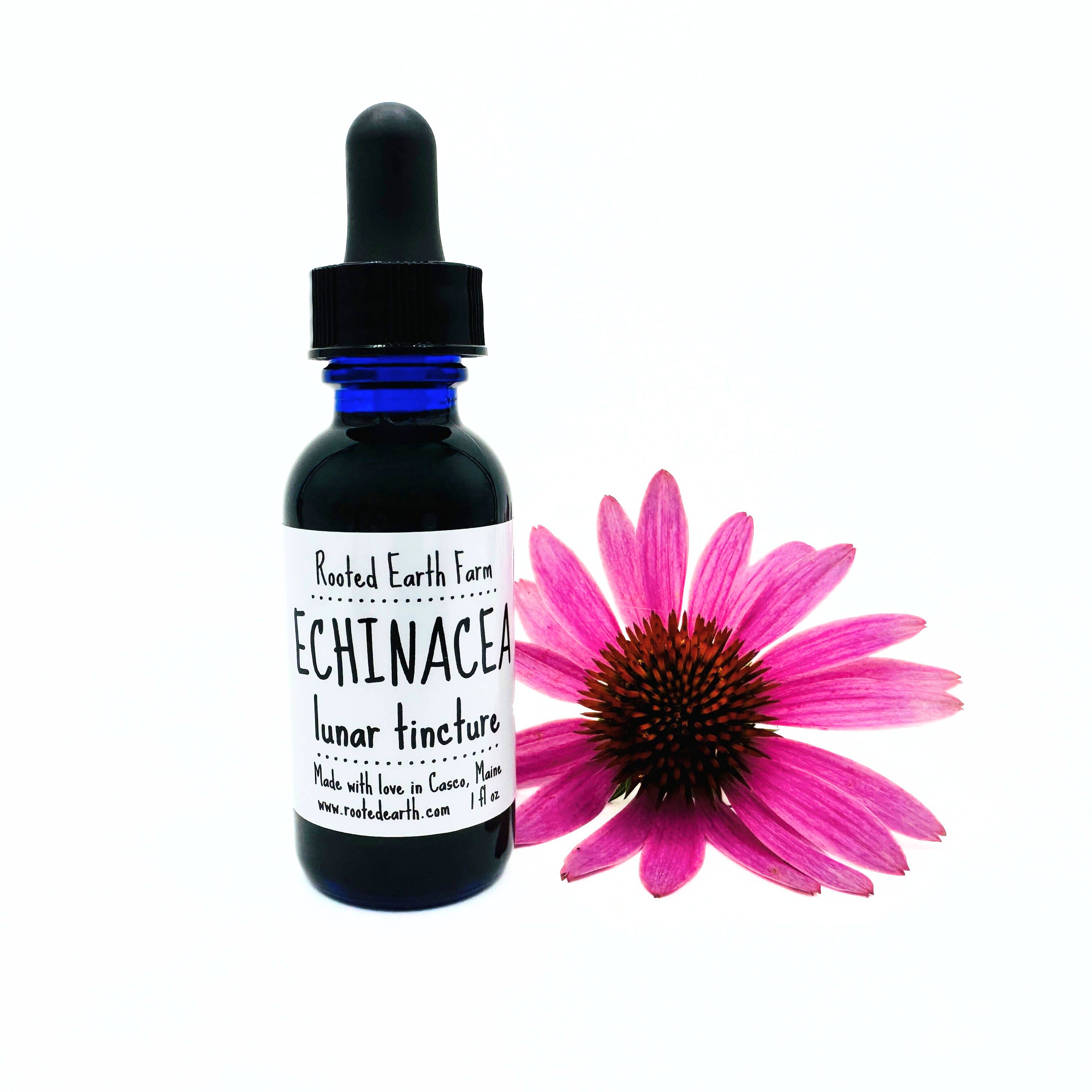 Rooted Earth Farm + Apothecary - Wholesale Tincture - Echinacea Tincture - 2 Size Options0