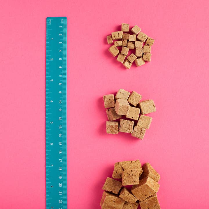 Snaggletooth Pets - Wholesale Pet Treats - Dog - Lamb Liver - Freeze Dried Raw Teeny Tiny Treats6