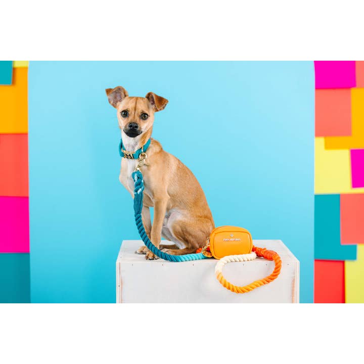 Pink Papyrus | Premium, Durable, & Stylish Dog Products - Wholesale Pet Leash - Dog - Rope Leash MEGA Bundle | Dog Leash Pack | Dog Lead Bundle 9