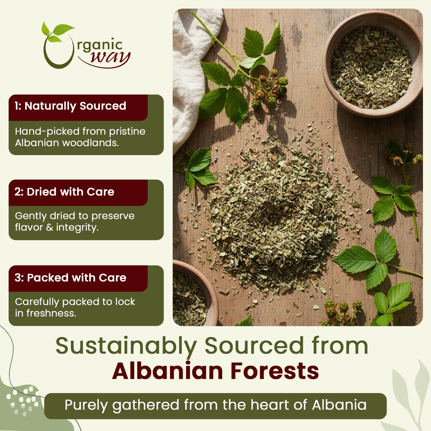 Organic Way LLC - Wholesale Loose Tea - Dried Blackberry Leaf Whole (Rubus fruticosus) - European Wild-Harvest | Kosher Certified | Raw, Vegan, Non GMO & Gluten Free | USDA Certified | Origin - Albania2