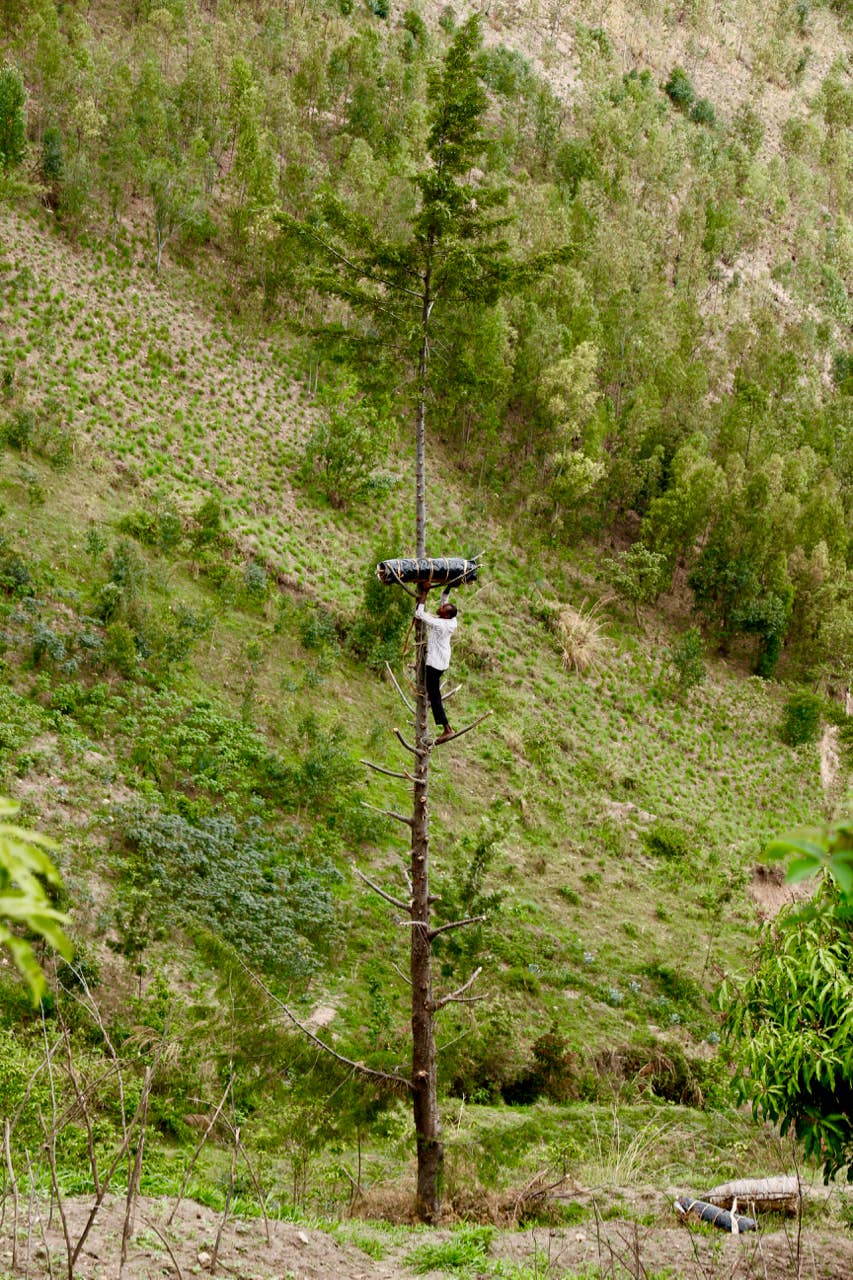 Azizi Life - Wholesale Tapered Candle/Candlestick - Twisted Beeswax Taper Candles- Set of 33