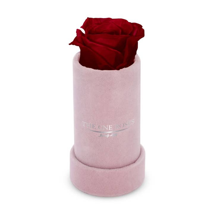 Mocka singel | The One Pink Box för wholesale av The One Roses
