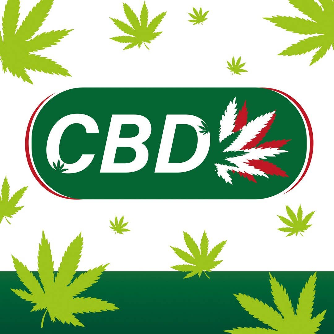 P'tit Clown - Wholesale Costume - Men's - Bob Apéro - Green CBD3