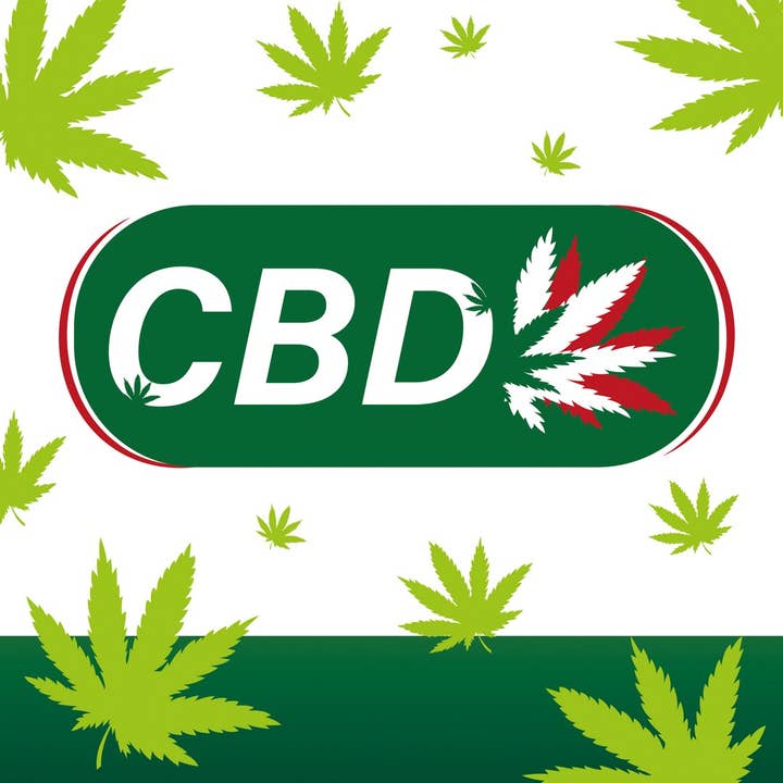 P'tit Clown - Wholesale Costume - Men's - Bob Apéro - Green CBD3