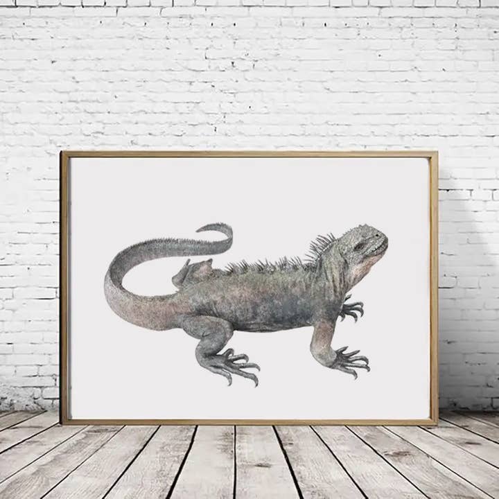Marine iguana - A2/A1 Prints (landscape) for wholesale by Hidden Planet
