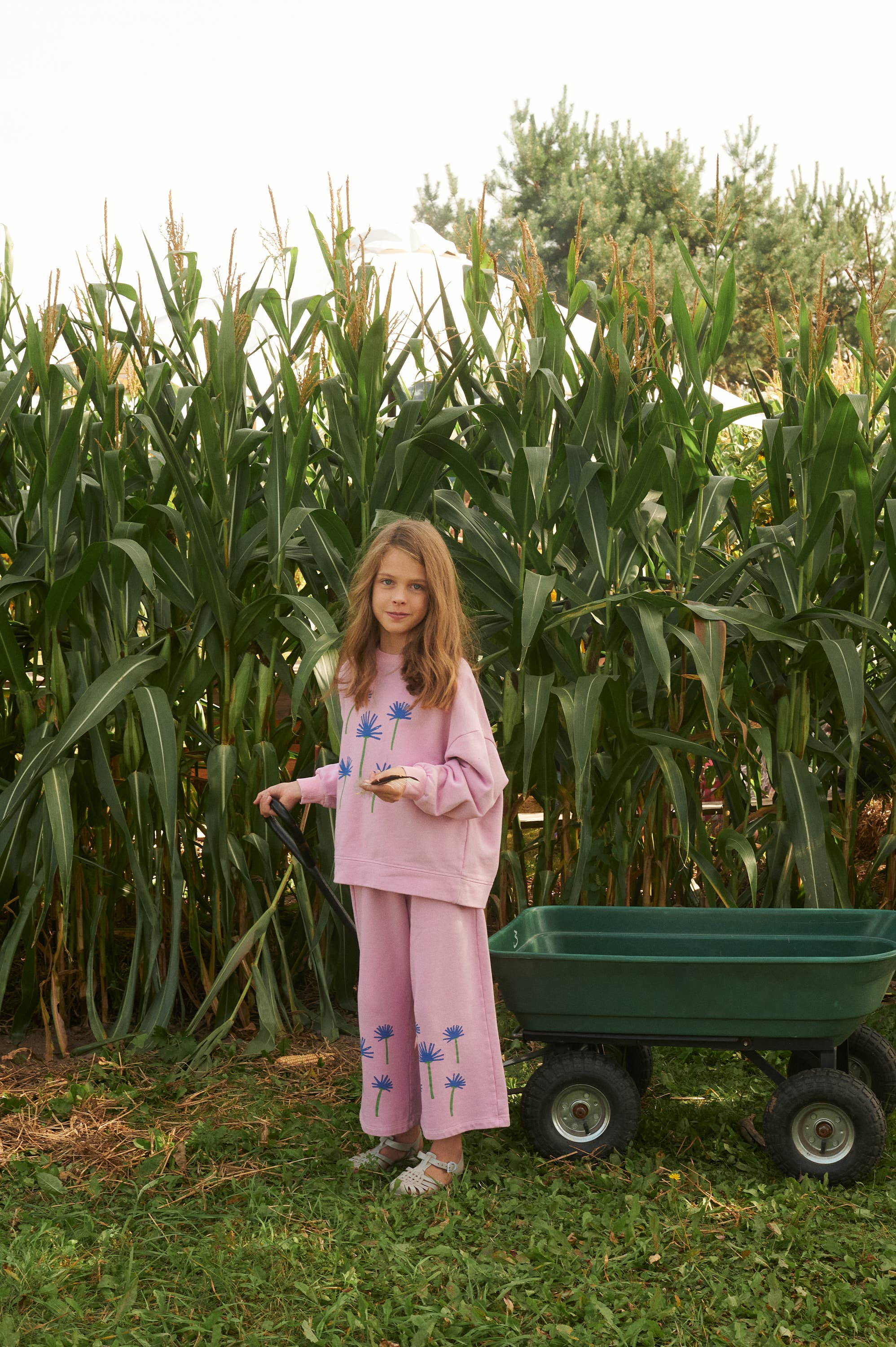 OXOX CLUB - Venta al por mayor Sudadera - Niños - Sudadera de algodón orgánico con estampado de aciano5