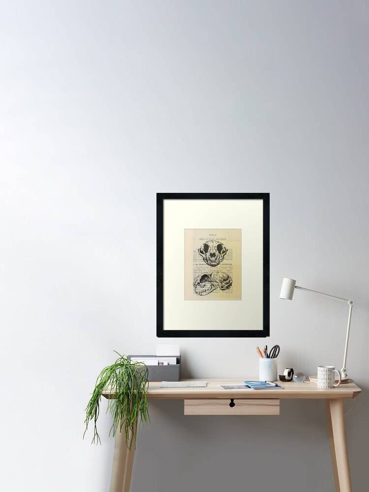 Kaleigh Day Art - Wholesale Art Print - Cat Skeleton Anatomy Art | Dictionary Page Art | Witchy Art Print | Pagan Gift | Wiccan Art | Occult Art | Cat Skull Illustration2