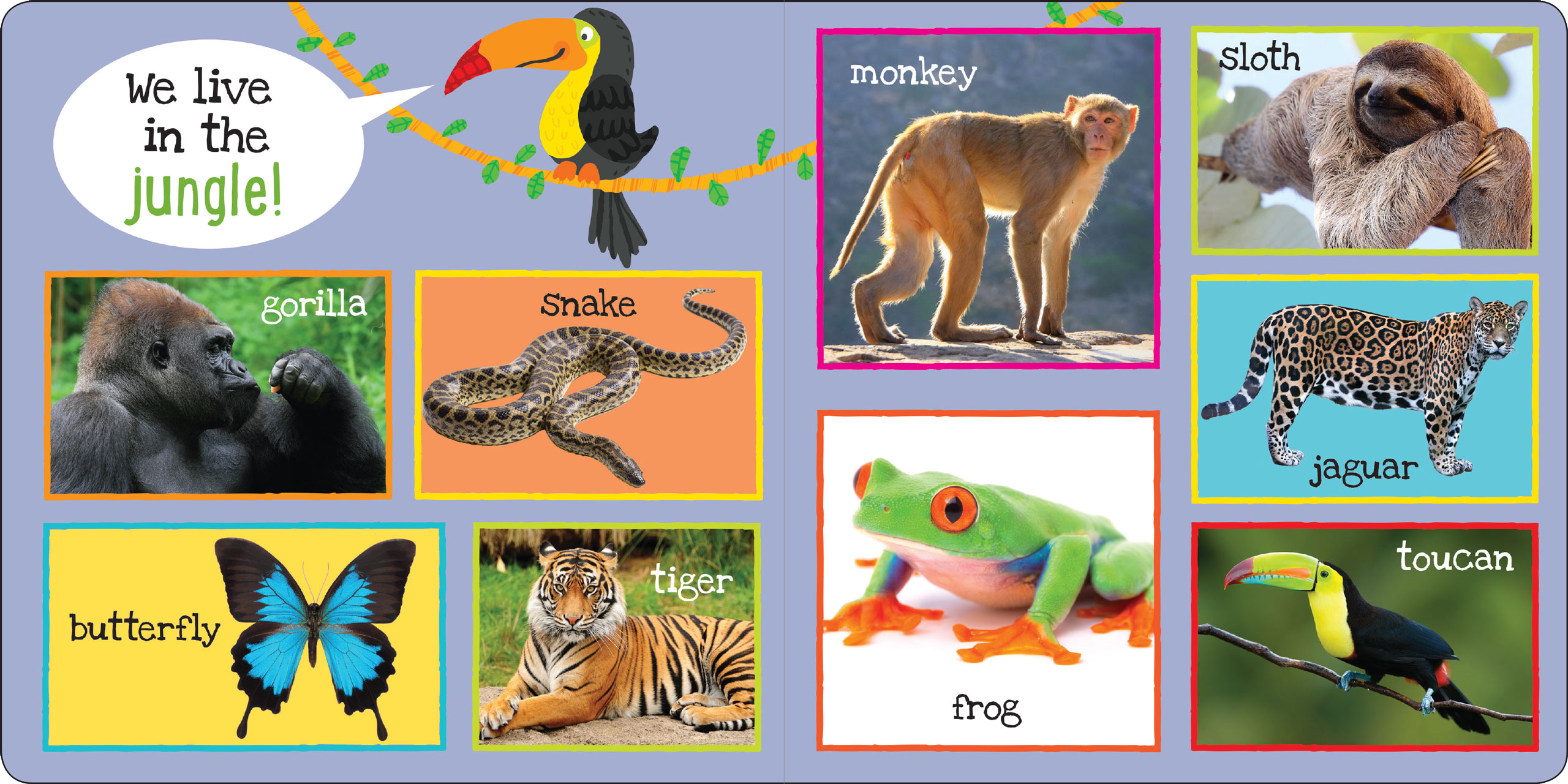Peter Pauper Press - Wholesale Baby & Toddler Book (0-2) - My First 101 ANIMALS Board Book1