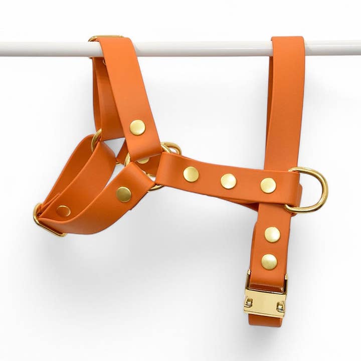 Imbracatura Arancione - Biothane per la vendita all'ingrosso da parte di Pompon & Pets