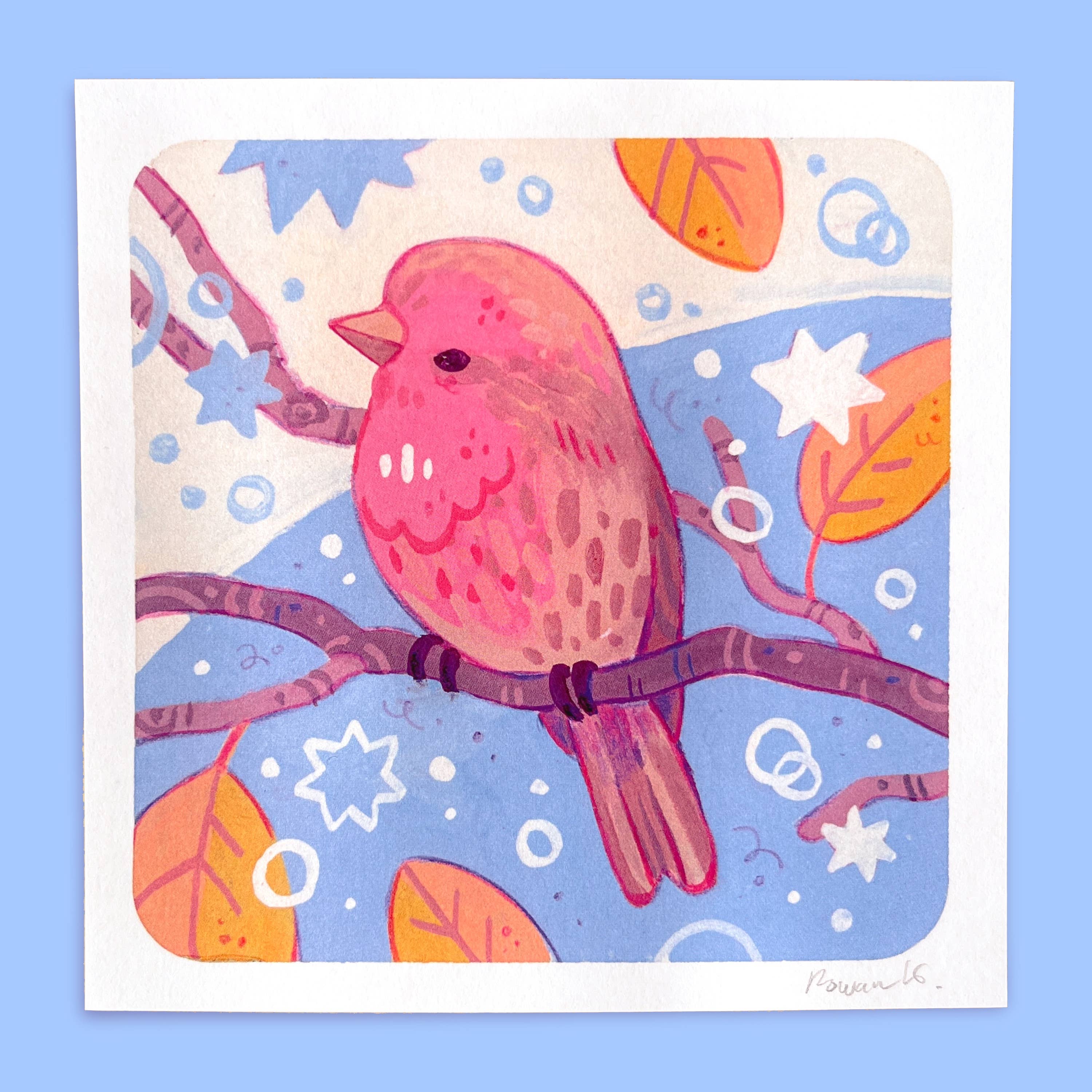Rowan Kingsbury - Wholesale Art Print - Local  Backyard Bird 5x5" Art Prints | Pacific Northwest1