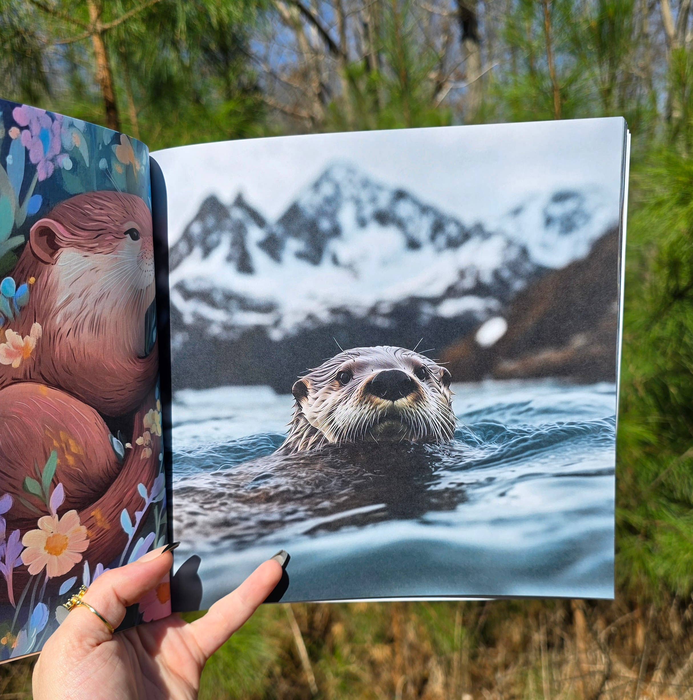 Author Linda Blackmoor - Wholesale Preschool Book (3-5) - Wildlife in Bloom: Little Otter6