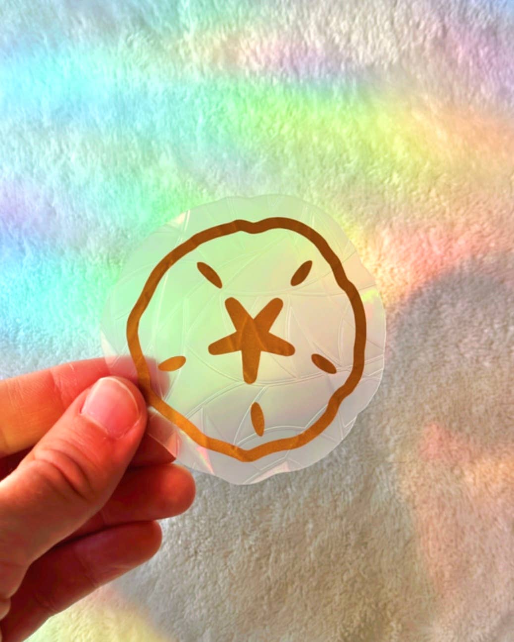 Prismatic Kitty - Wholesale Suncatcher - Set of 3 Mini Seashell Suncatchers | Nautical Decor1