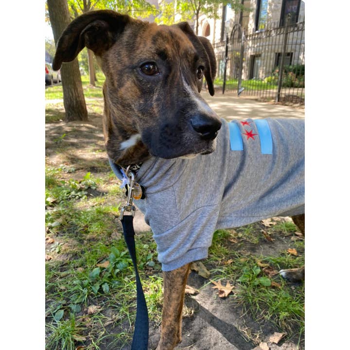 tori grace outfitters - Wholesale Pet Hoodie - Dog - chicago flag dog hoodie, embroidered chicago dog sweater