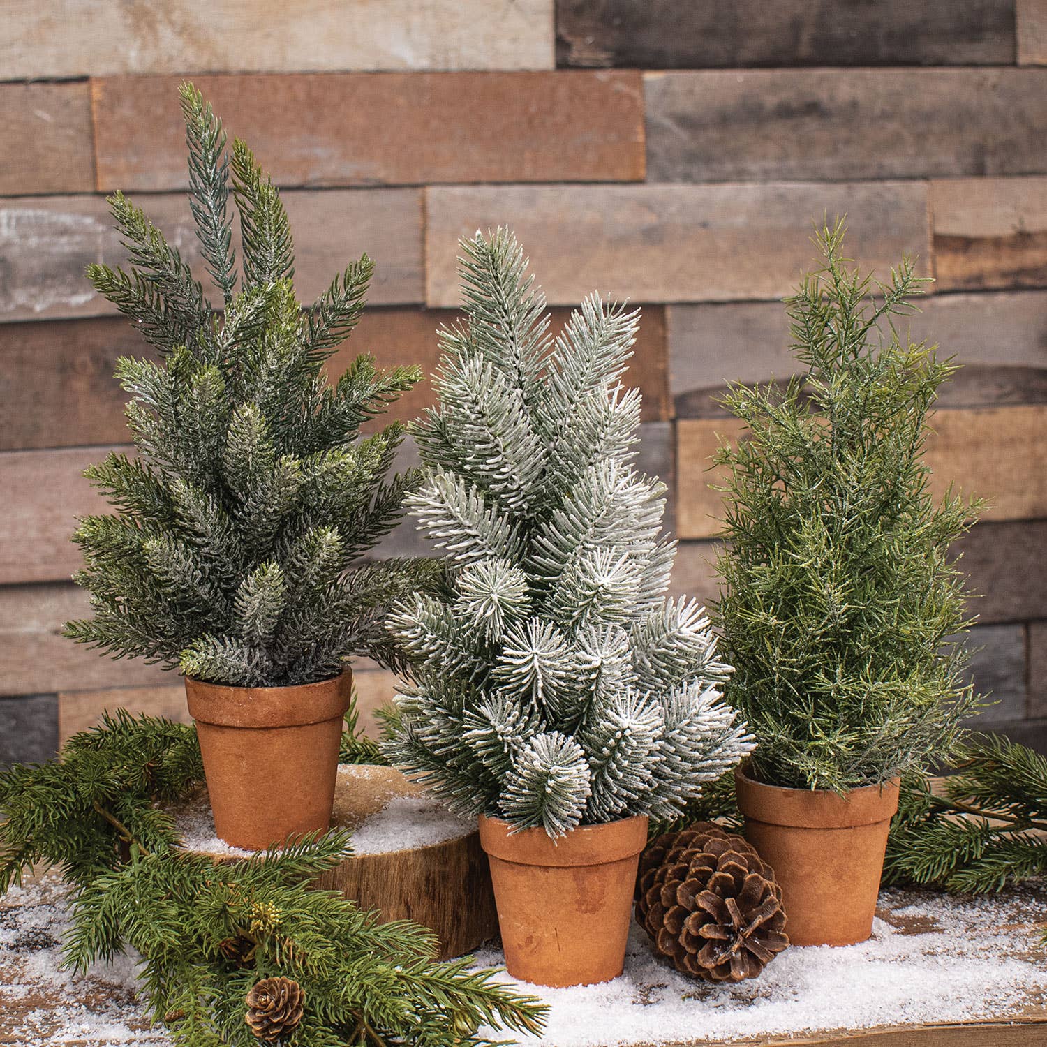 Bright Ideas – Engroshandel Kunstigt juletræ – 3 stk. assorterede fyrretræer på 35,6 cm i terrakottakrukker1