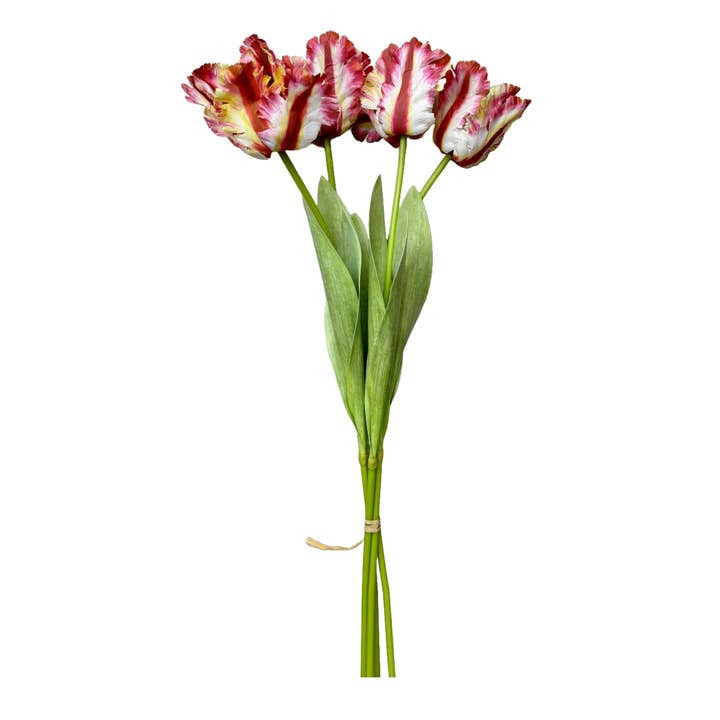 Angel Isabella - Wholesale Artificial flowers - 27" Artificial 3-D printed Soft Touch Parrot Tulip6