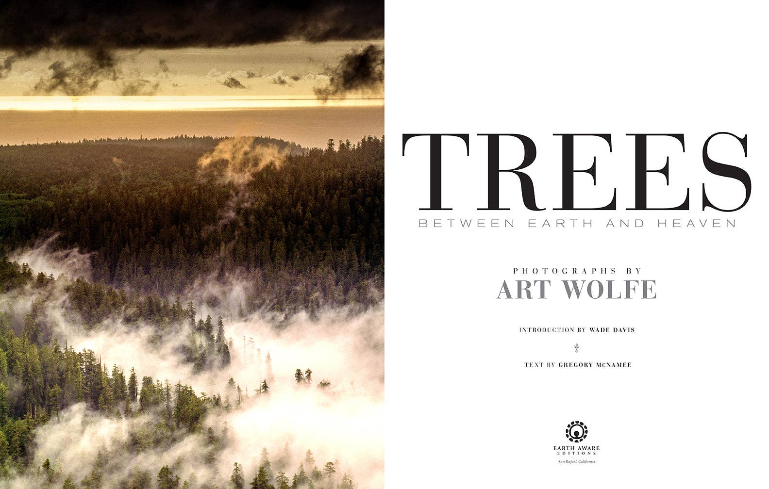 Insight Editions - #1 Pop Culture Publisher - Wholesale Nature & Outdoors Book - Trees3