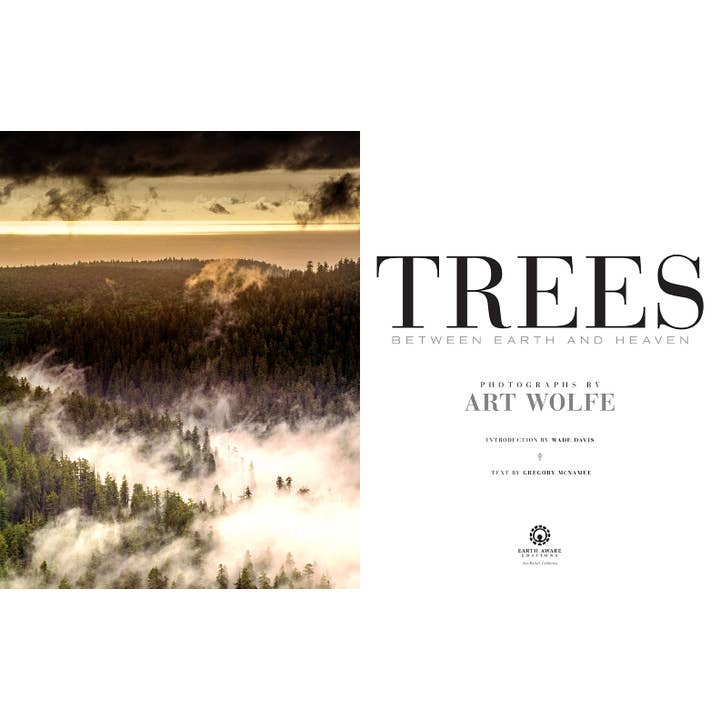 Insight Editions - #1 Pop Culture Publisher - Vente Livre sur la nature et les activités de plein air - Arbres3