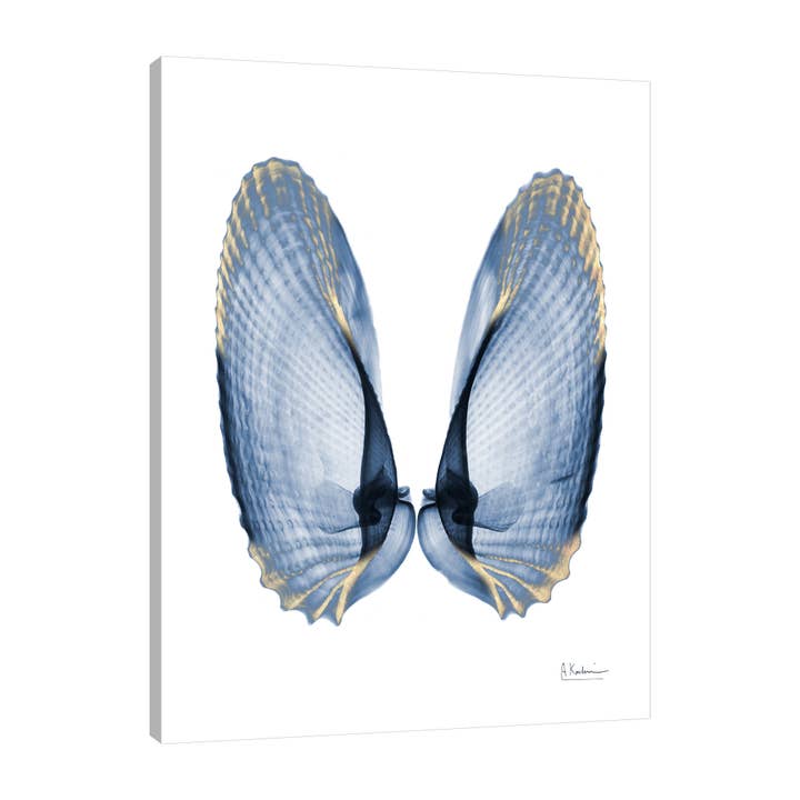 Shimmering Snail 4 Gallery Wrapped Canvas for wholesale by Jaxson Rea