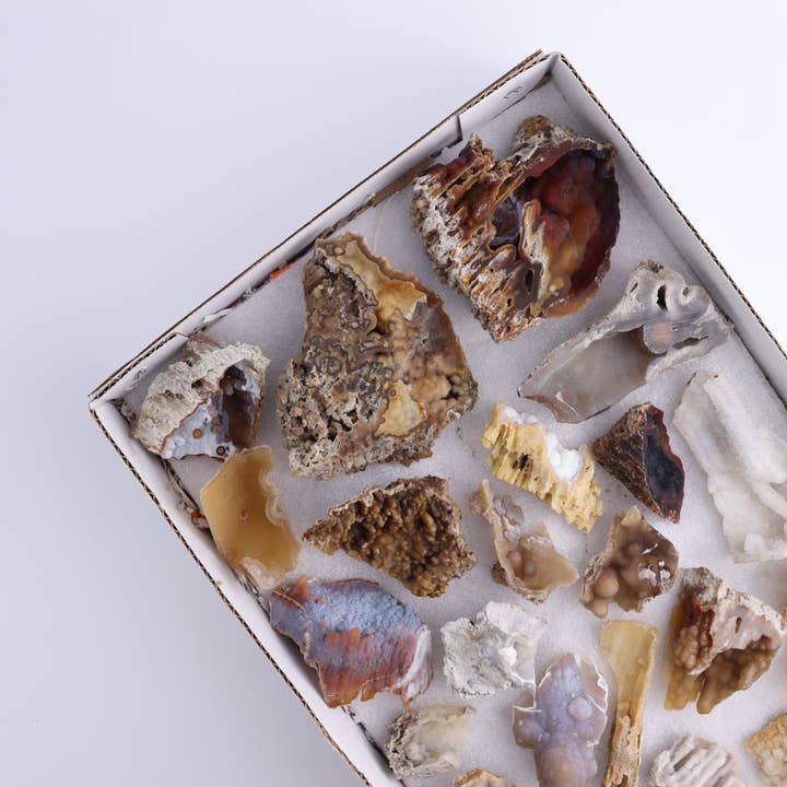 Coral Achatizado Plano por atacado de Mi Esperanza Minerals