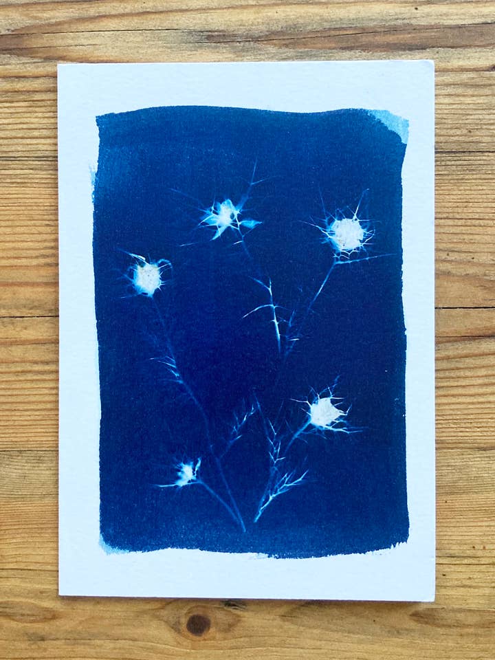 'Love-In-The-Mist' Botanical Blue Greetings Card for wholesale by Made By McDuff