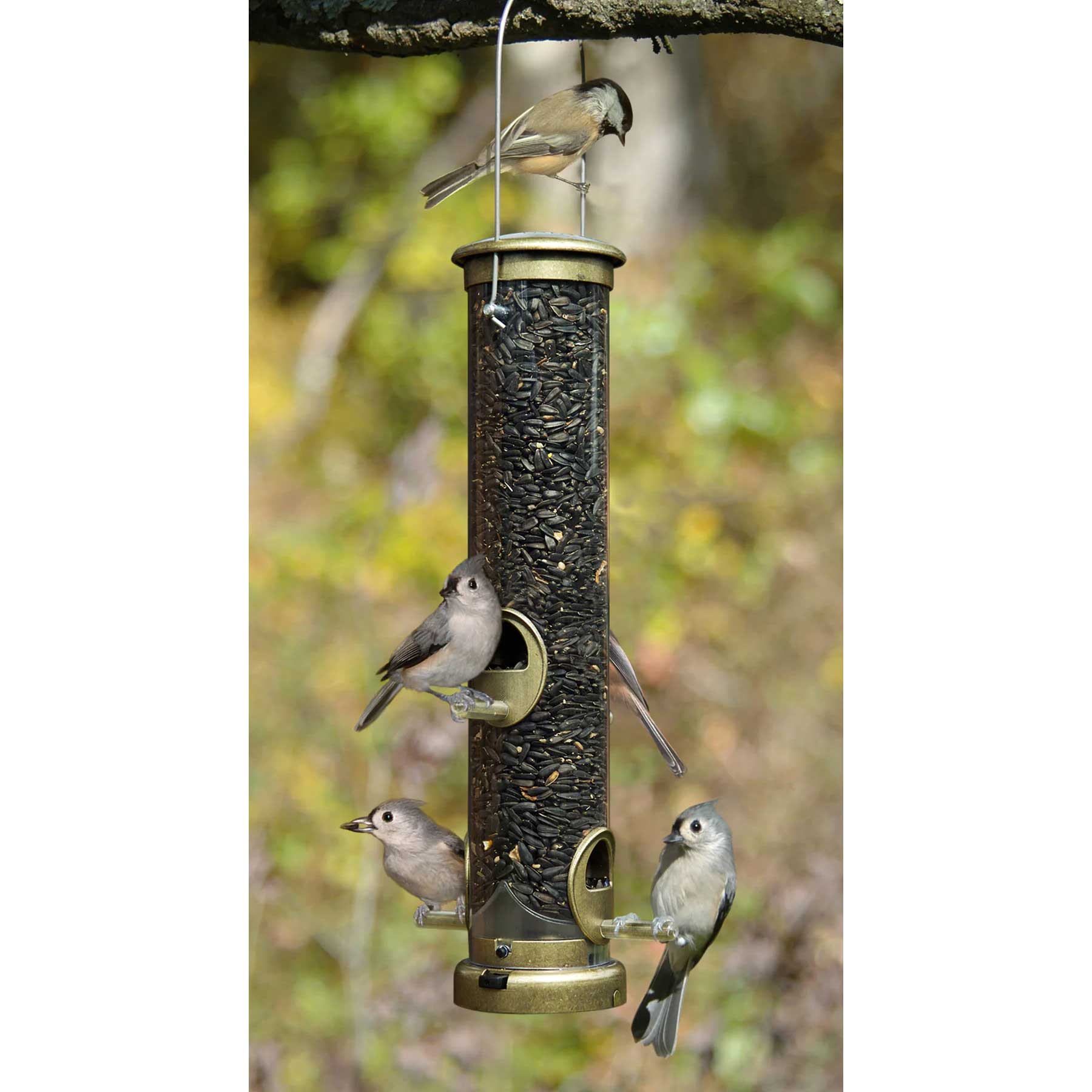 Birds Choice - Wholesale Bird Feeder - Aspects Quick Clean - Brass Bird Seed Tube Feeder - Medium1